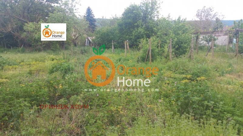Продается  Дом область Добрич , Църква , 80 кв.м | 12176721 - изображение [4]