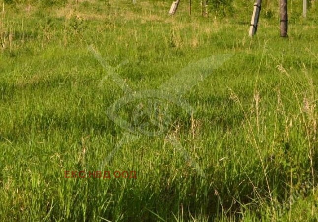 Na prodej  Spiknutí oblast Plovdiv , Dedevo , 3801 m2 | 45988006