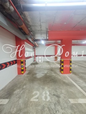 ����� ������� ����������,���� �����, ��������