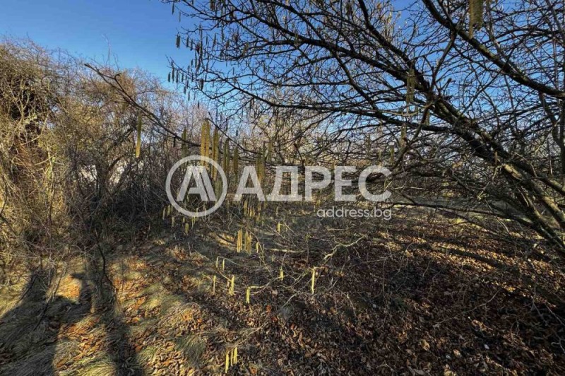In vendita  Complotto regione Pernik , Priboj , 1200 mq | 68855585 - Immagine [4]