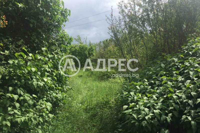 In vendita  Complotto regione Pernik , Priboj , 1200 mq | 68855585 - Immagine [3]