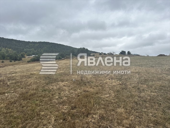 Продава ПАРЦЕЛ, м-т Цигов чарк, област Пазарджик, снимка 3 - Парцели - 55731669