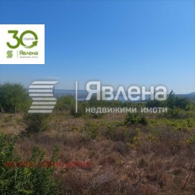 ������ ������� ������