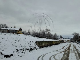 ����� ������� ������,�. ������, ������ ������