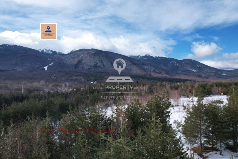 Продава ПАРЦЕЛ, гр. Разлог, област Благоевград, снимка 4 - Парцели - 48528888