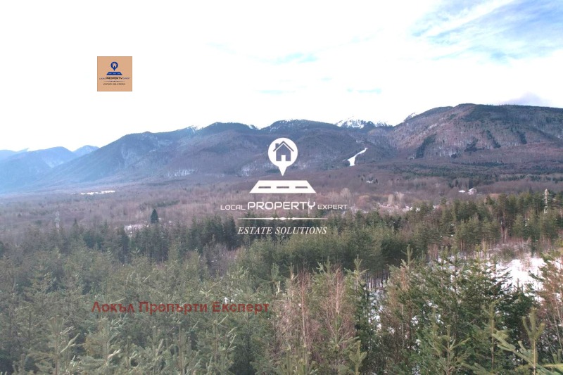 Продава ПАРЦЕЛ, гр. Разлог, област Благоевград, снимка 3 - Парцели - 48528888