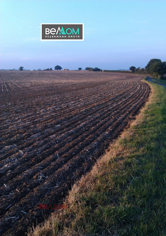 ������� ���������� ���� | Imot.bg � ����������� 1