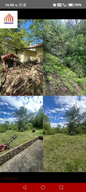 ����� ������� ����,�. ��������, ������ ����� ������