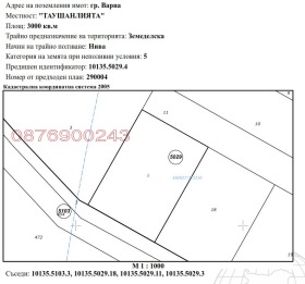 ����� ������� ���������� ����,��. �����, ������ �����