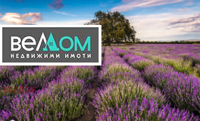 ����� ������� ���������� ����,��. ��������, ������ �����