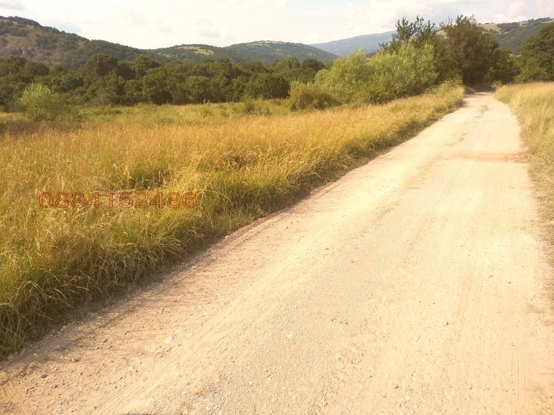 Продава ЗЕМЕДЕЛСКА ЗЕМЯ, с. Боснек, област Перник, снимка 5 - Земеделска земя - 52785640