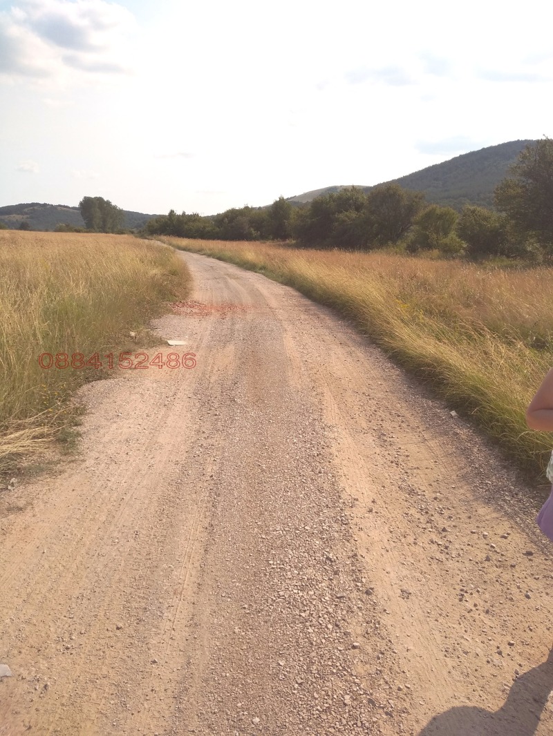 Продава ЗЕМЕДЕЛСКА ЗЕМЯ, с. Боснек, област Перник, снимка 6 - Земеделска земя - 52785640