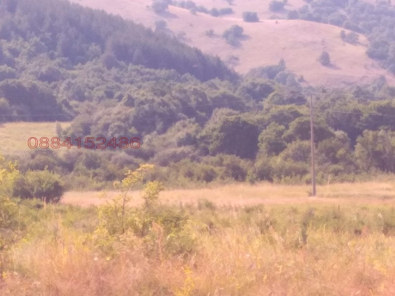 Продава ЗЕМЕДЕЛСКА ЗЕМЯ, с. Боснек, област Перник, снимка 3 - Земеделска земя - 52785640