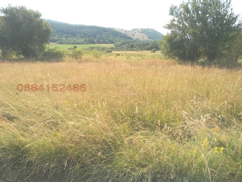 Продава ЗЕМЕДЕЛСКА ЗЕМЯ, с. Боснек, област Перник, снимка 4 - Земеделска земя - 52785640