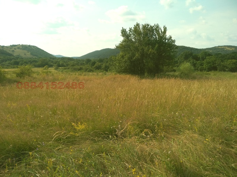 Продава ЗЕМЕДЕЛСКА ЗЕМЯ, с. Боснек, област Перник, снимка 8 - Земеделска земя - 52785640