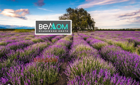 Продава ЗЕМЕДЕЛСКА ЗЕМЯ, гр. Аксаково, област Варна