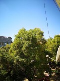 Продава 2-СТАЕН, град Стара Загора, Център • 85000 € • 44480105 — Holmes.bg