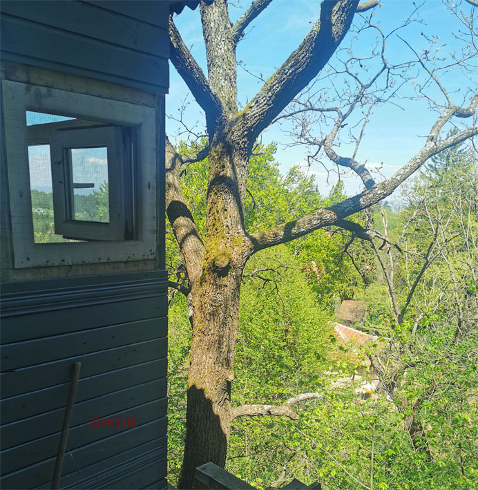 ������� ���� | Imot.bg � ����������� 7