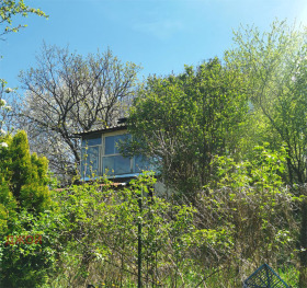 ������ ������� ����