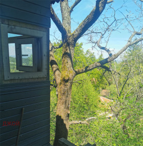 ������� ���� | Imot.bg � ����� ������ 7