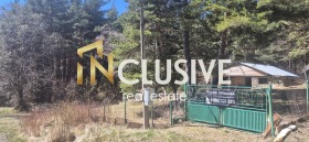 ����� ������� ������,�.�.�����, ������ �����