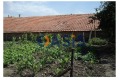 Продава КЪЩА, с. Огнен, област Бургас, снимка 1