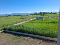 Продава ПАРЦЕЛ, с. Войводиново, област Пловдив, снимка 9