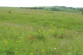 Продава ПАРЦЕЛ, град София, гр. Банкя • 450100 € • 68944808 — Holmes.bg