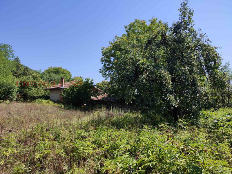 Продава КЪЩА, с. Присово, област Велико Търново, снимка 5 - Къщи - 52778990