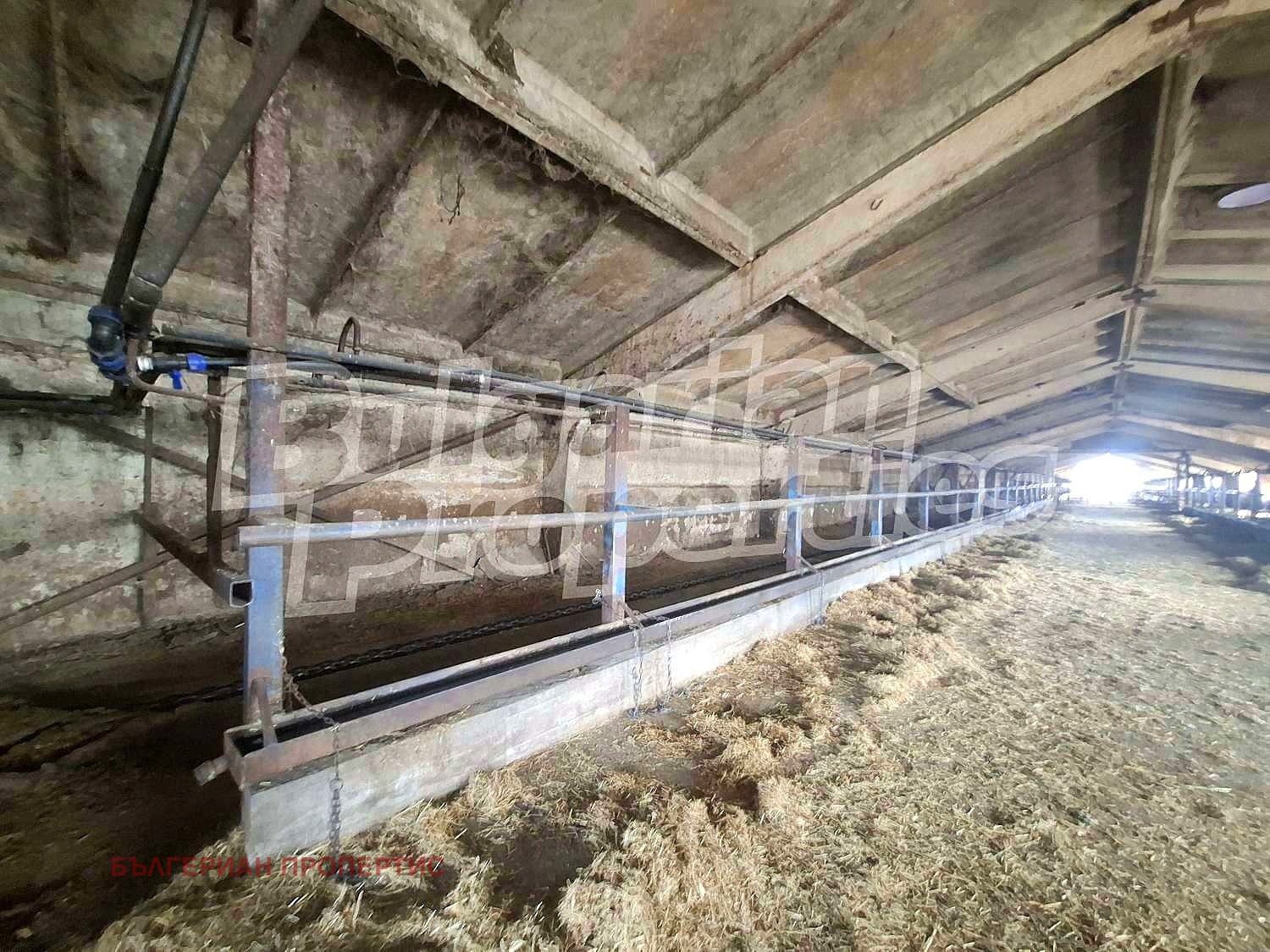 Продава ФЕРМА | Imot.bg — изображение 11