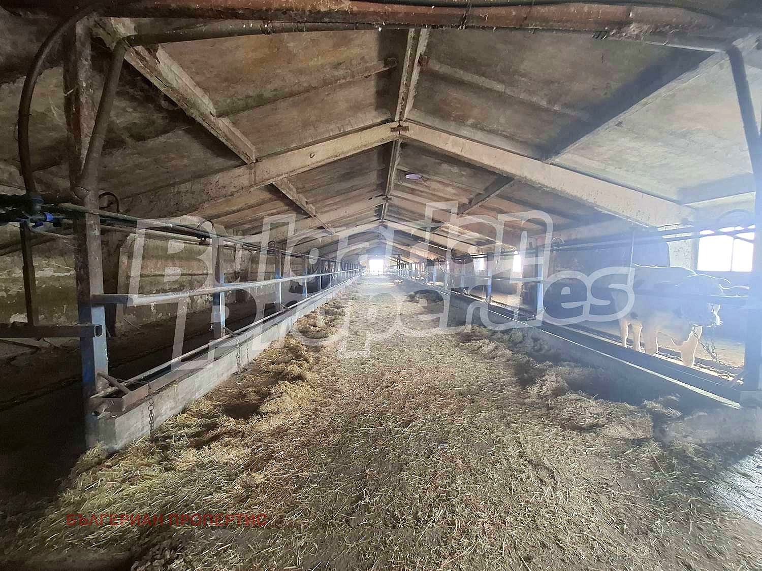 Продава ФЕРМА | Imot.bg — изображение 10