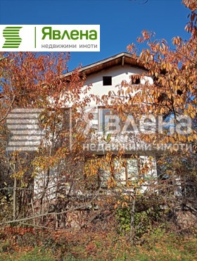 ����� ������� ����,���� �����, ����� ����