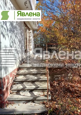 ����� ������� ����,���� �����, ����� ����>