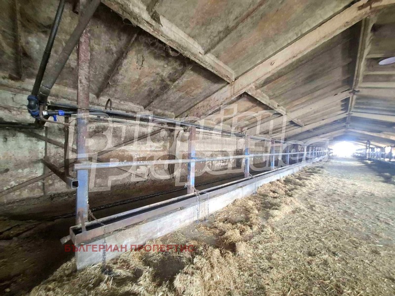 Продава БИЗНЕС ИМОТ, с. Атолово, област Ямбол, снимка 10 - Други - 52243280