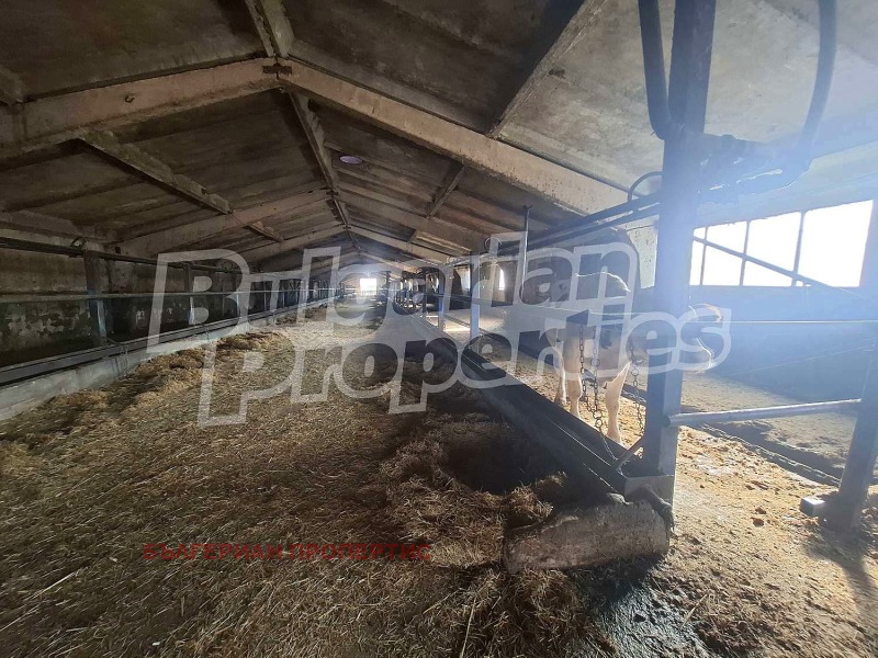 Продава БИЗНЕС ИМОТ, с. Атолово, област Ямбол, снимка 11 - Други - 52243280