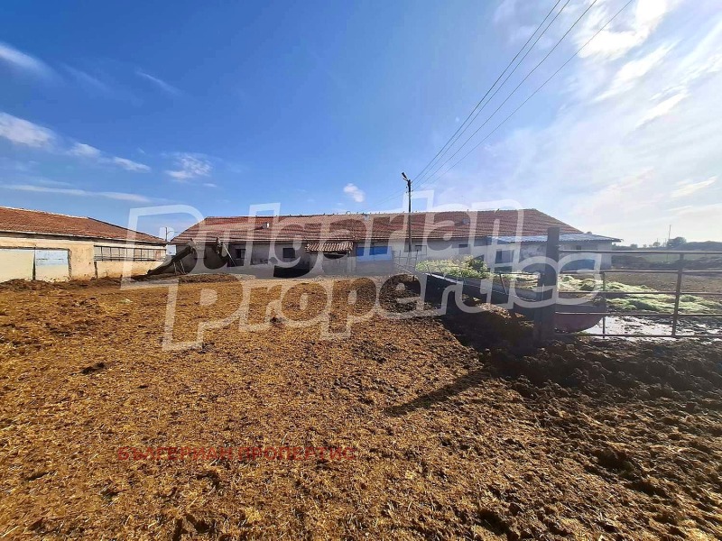 Продава БИЗНЕС ИМОТ, с. Атолово, област Ямбол, снимка 3 - Други - 52243280