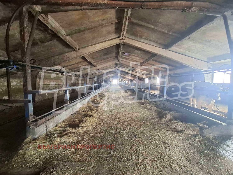 Продава БИЗНЕС ИМОТ, с. Атолово, област Ямбол, снимка 9 - Други - 52243280