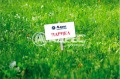 Продава  Парцел област Добрич , с. Църква , 1700 кв.м | 65255098