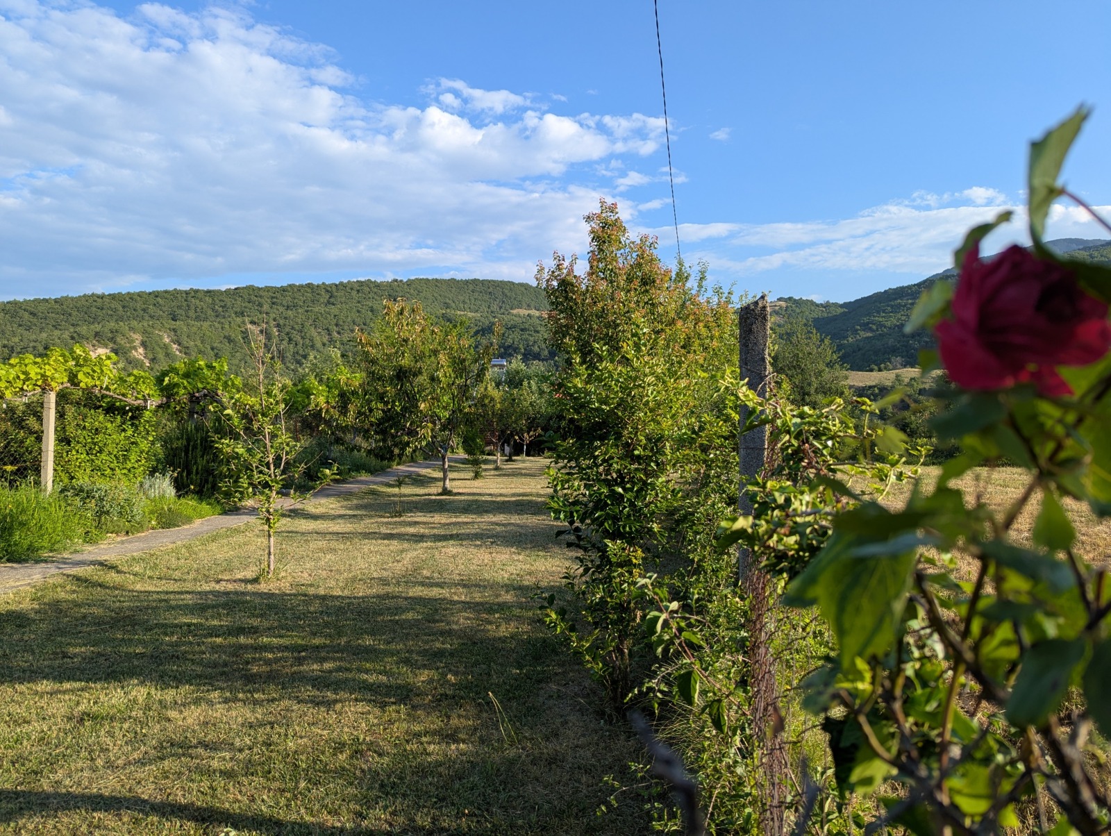 ������� ���� | Imot.bg � ����������� 3