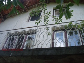 ������ ������� ����