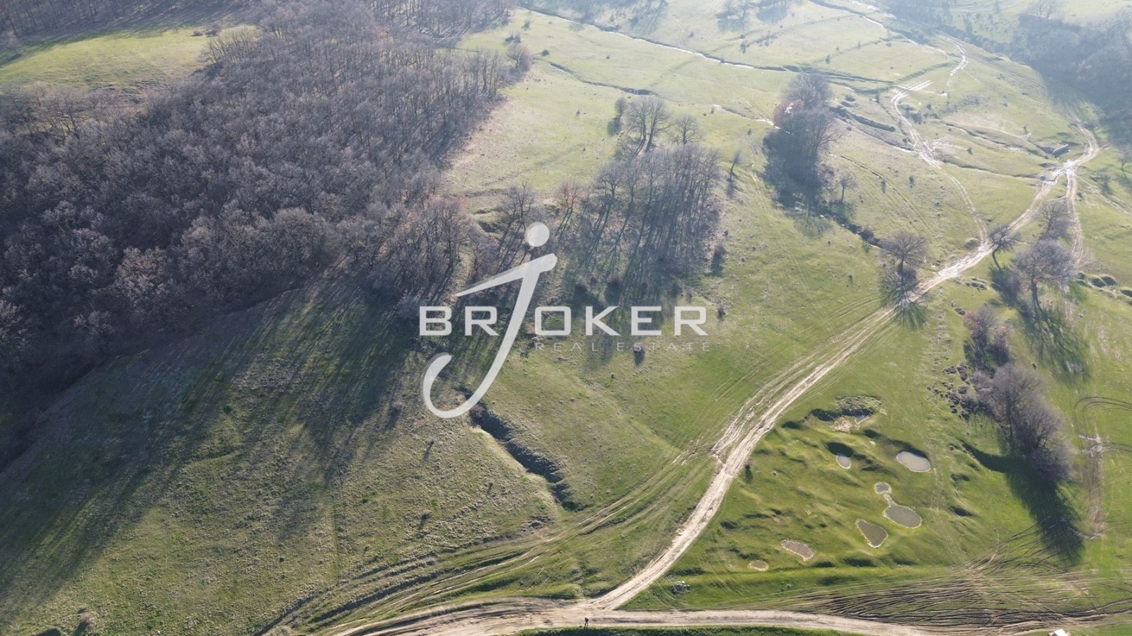 Продава ЗЕМЕДЕЛСКА ЗЕМЯ, с. Маслиново, област Хасково, снимка 2 - Земеделска земя - 53702515