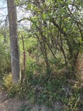 Продава ПАРЦЕЛ, град Русе, ДЗС • 14000 € • 36969548 — Holmes.bg