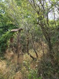 Продава ПАРЦЕЛ, град Русе, ДЗС • 14000 € • 36969548 — Holmes.bg