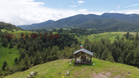 ������� ������ | Imot.bg � ����� ������ 7