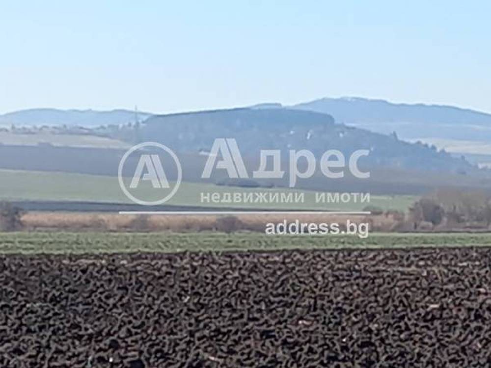 Продава  Парцел област София , с. Пролеша , 7290 кв.м | 46528116