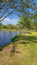 Продава ПАРЦЕЛ, с. Куртово Конаре, област Пловдив, снимка 8