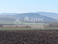 Продава  Парцел област София , с. Пролеша , 7290 кв.м | 46528116