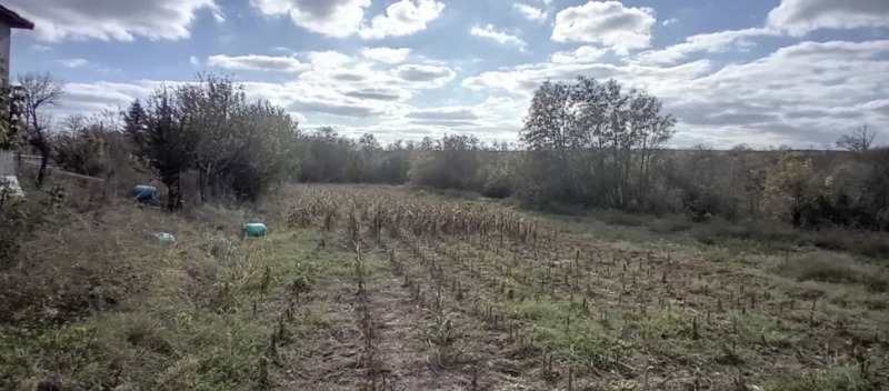 Na prodej  Dům oblast Dobrich , Lomnica , 120 m2 | 84630118
