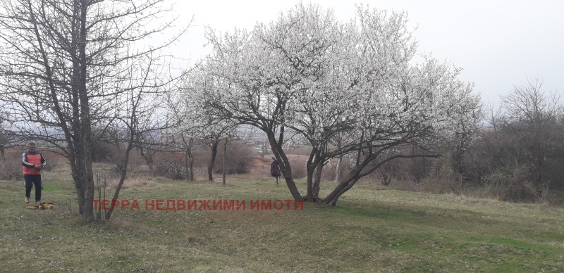 Продава  Парцел град София , с. Подгумер , 399 кв.м | 55943519 - изображение [9]