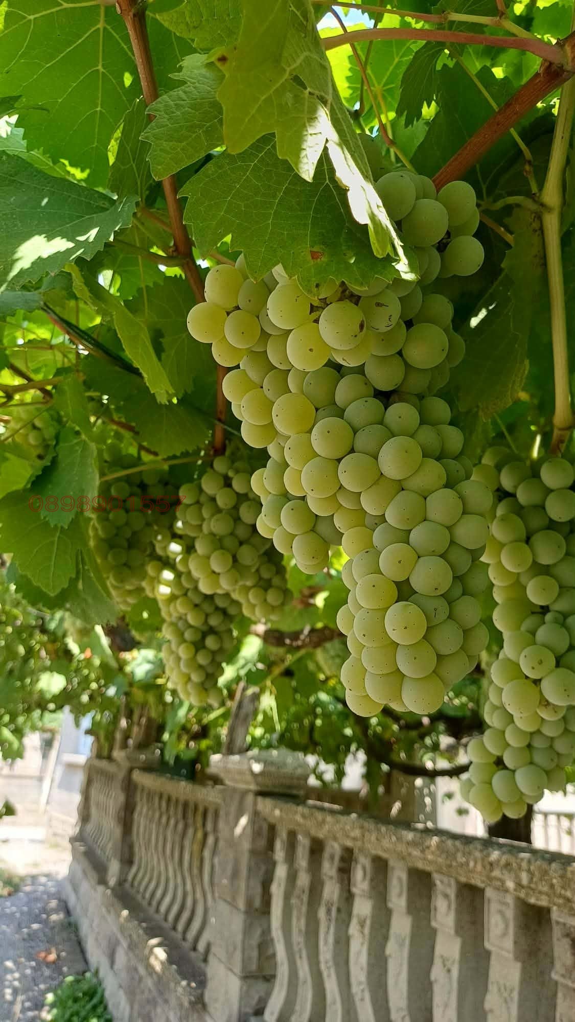 Продава КЪЩА, с. Имренчево, област Шумен, снимка 10 - Къщи - 56527471